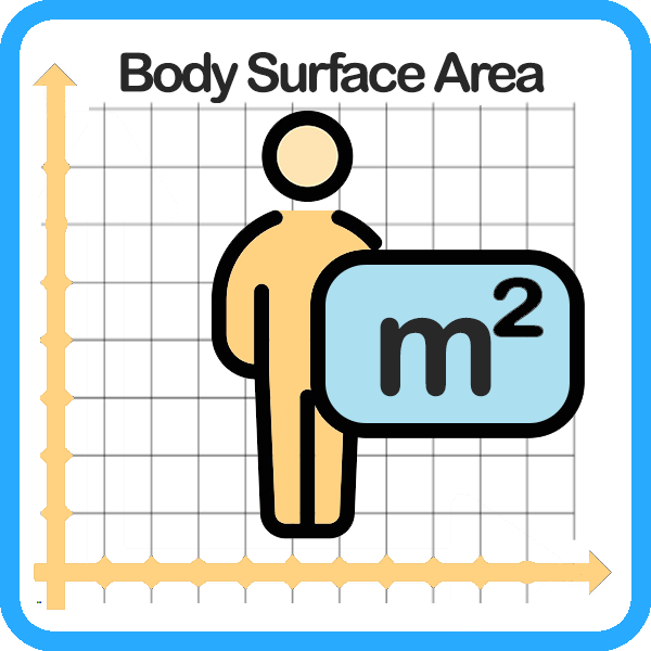 Vücut yüzey alanı hesaplama icon